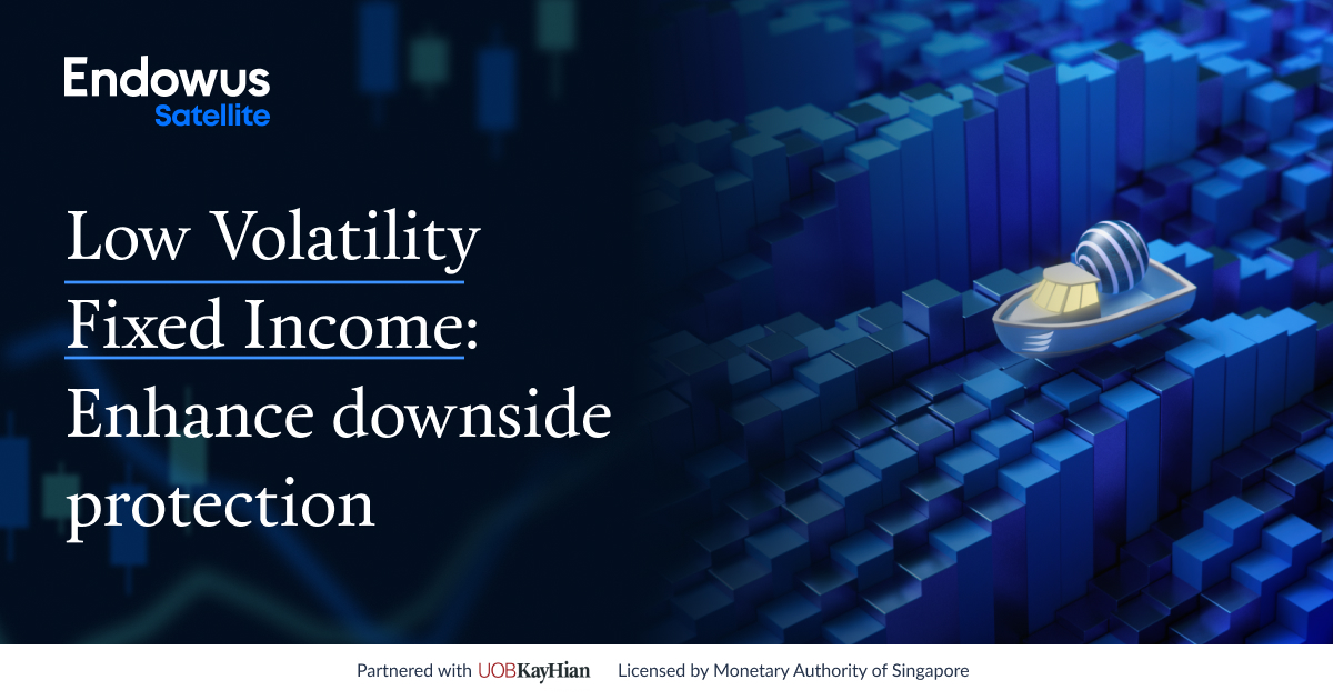 Manage risk with low volatility funds Endowus Satellite Portfolios